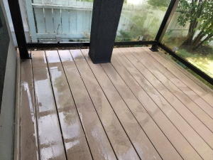 Professional House Pressure Washing Services